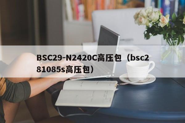 BSC29-N2420C高压包（bsc281085s高压包）-第1张图片-bevictor伟德-官方网站